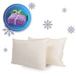 Dvi žąsų pūkų ir plunksnų pagalvės 50 x 70 cm. + pledas dovanų