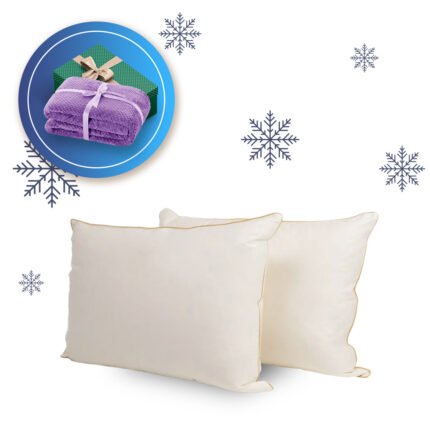 Dvi žąsų pūkų ir plunksnų pagalvės 50 x 70 cm. + pledas dovanų